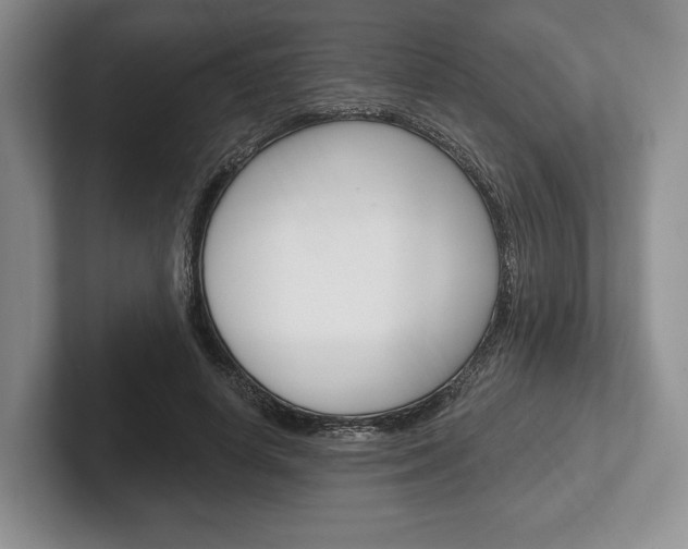 X0000102540642200808081051