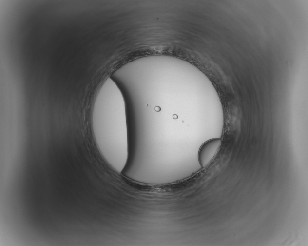 X0000102540656200808081051