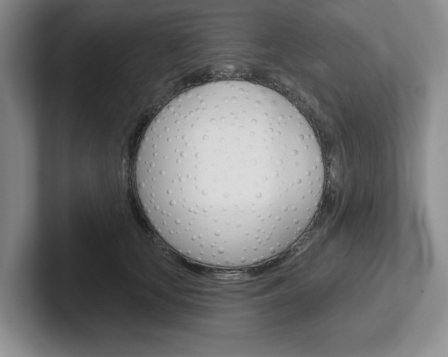 X0000102540659200808081051