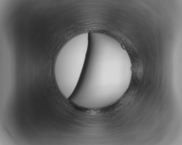 X0000102540660200808081051