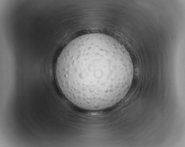 X0000102540662200808081051