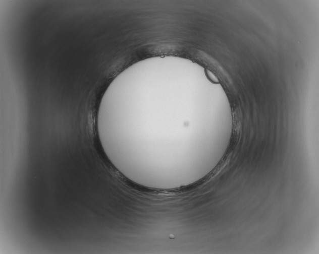 X0000102540669200808081051