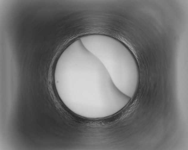 X0000102540673200808081050