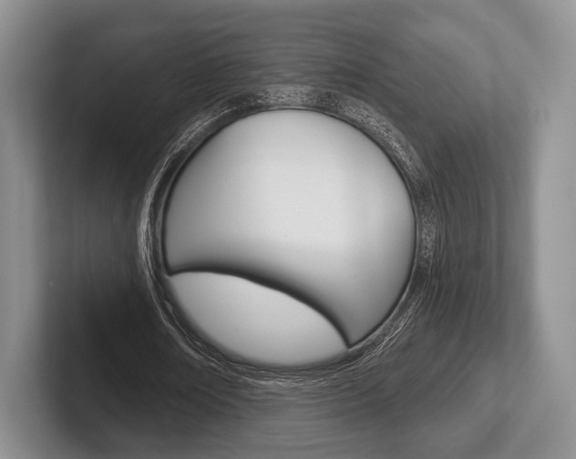 X0000102540674200808081050