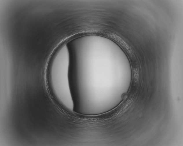 X0000102540676200808081050