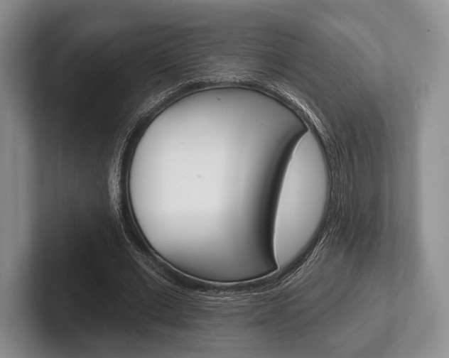 X0000102540677200808081050