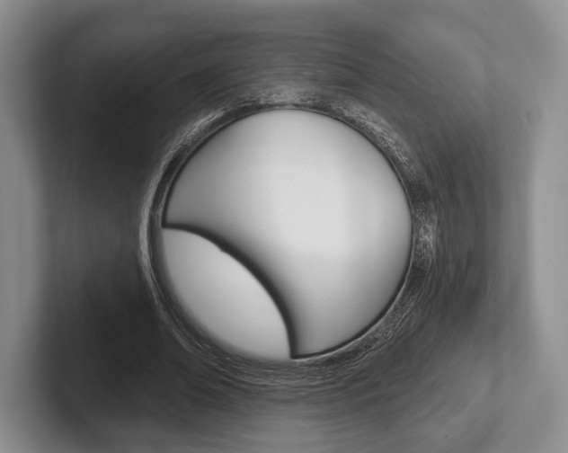 X0000102540678200808081050