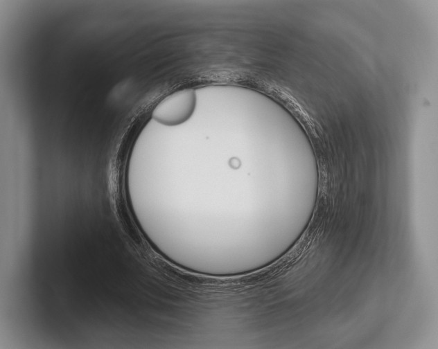 X0000102540679200808081050