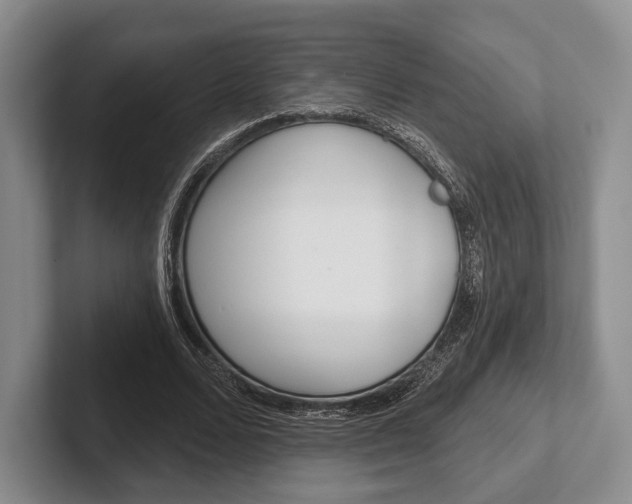 X0000102540680200808081050