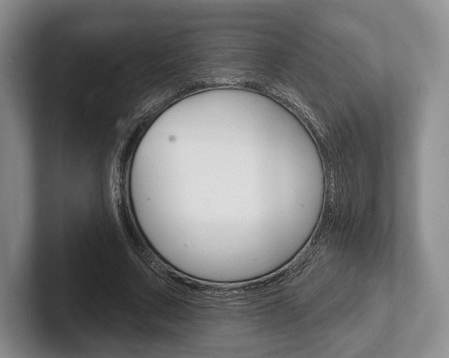X0000102540683200808081050