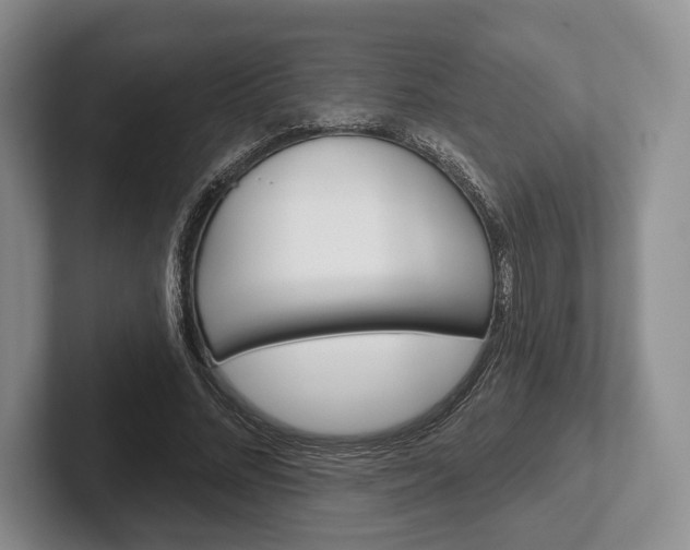 X0000102540684200808081050