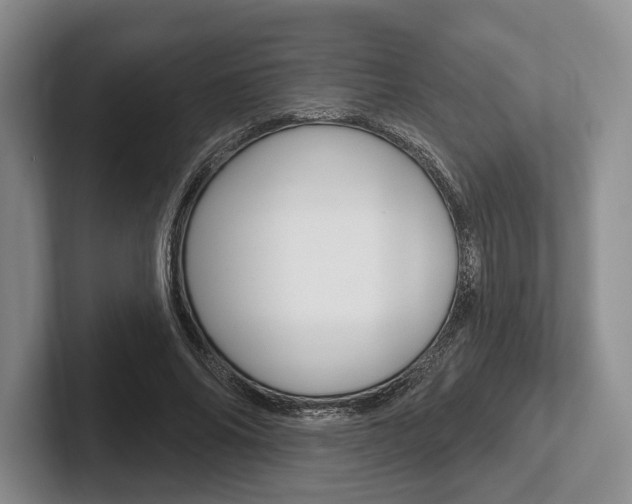 X0000102540686200808081050