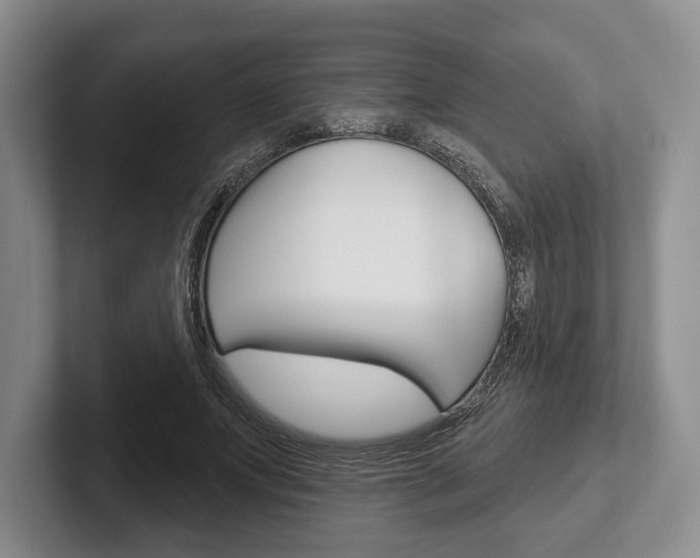 X0000102540687200808081050