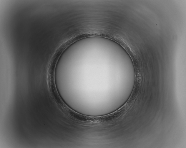 X0000102540688200808081050
