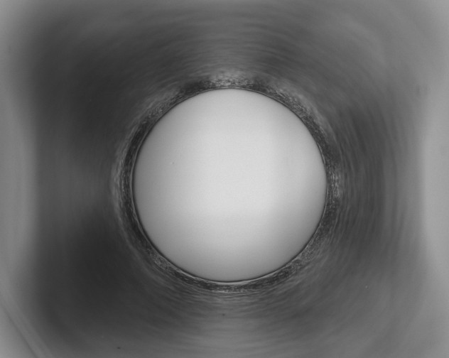 X0000102540690200808081050