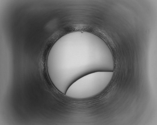X0000102540691200808081050