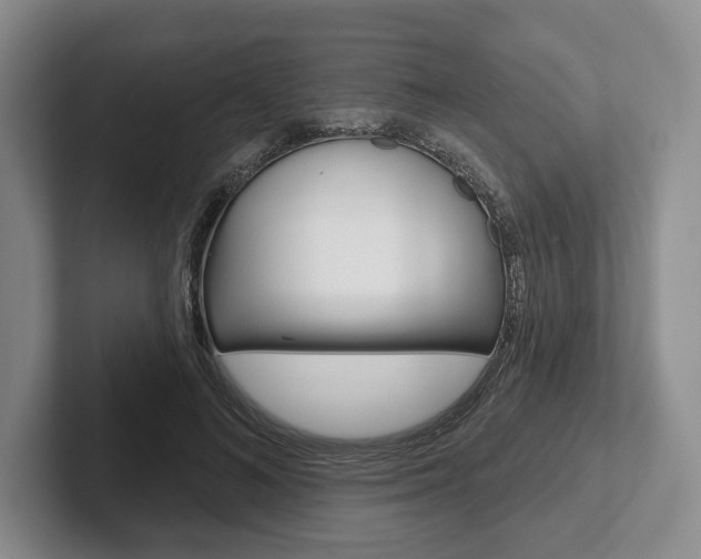 X0000102540692200808081050