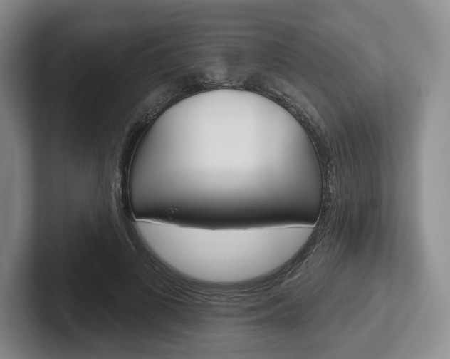 X0000102540693200808081050