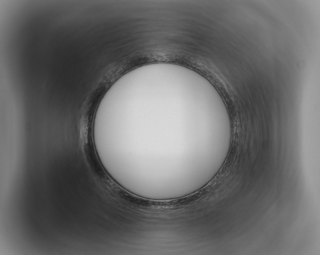 X0000102540694200808081050