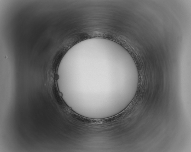 X0000102540695200808081050