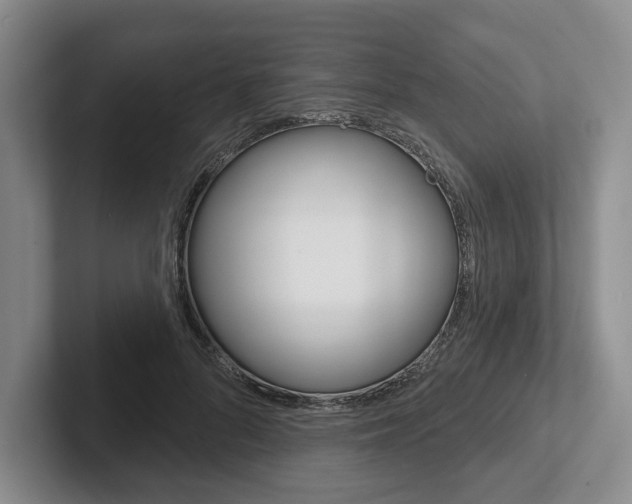 X0000102540696200808081050