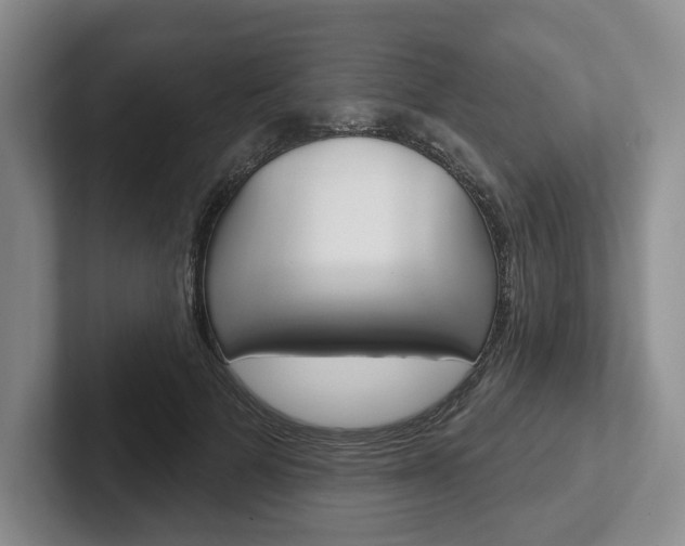 X0000102540697200808081050