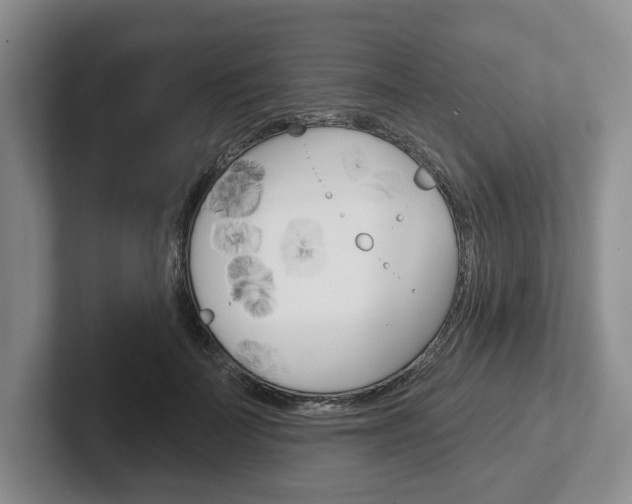 X0000102540699200808081050