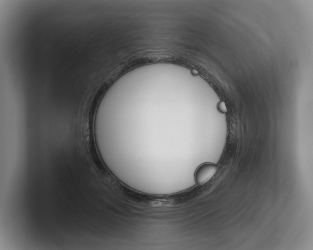 X0000102540700200808081050