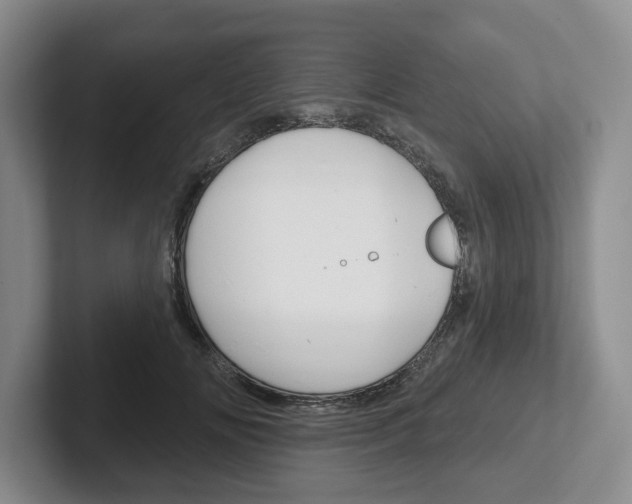 X0000102540702200808081050