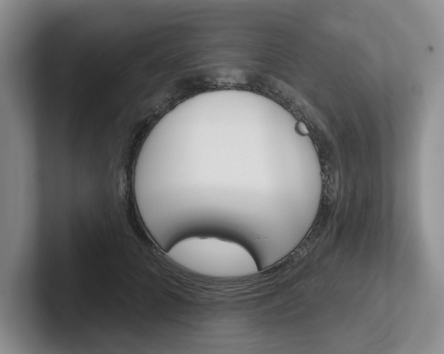 X0000102540704200808081050