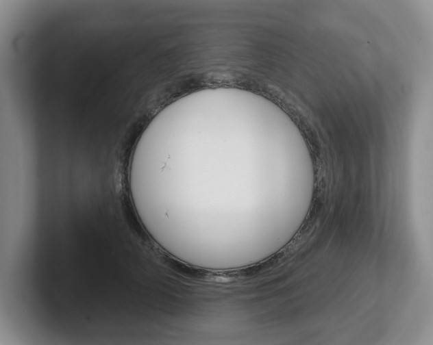 X0000102540706200808081050