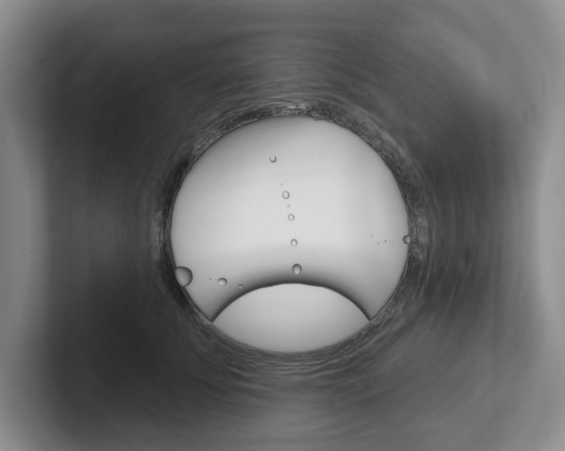 X0000102540707200808081050