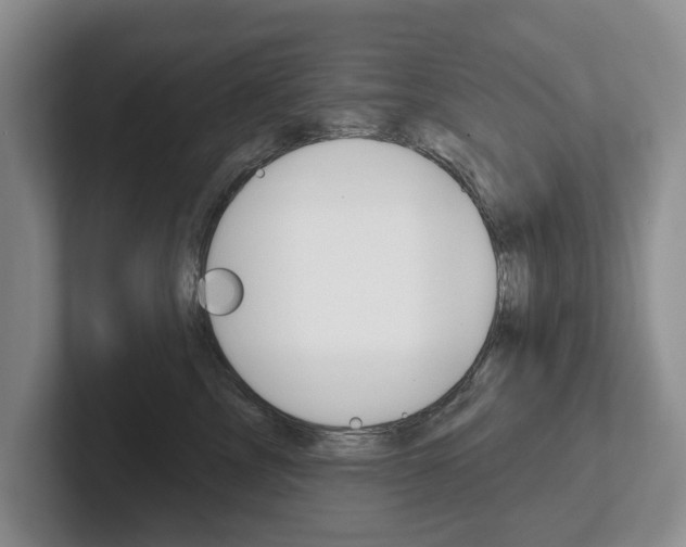X0000102540713200808081050