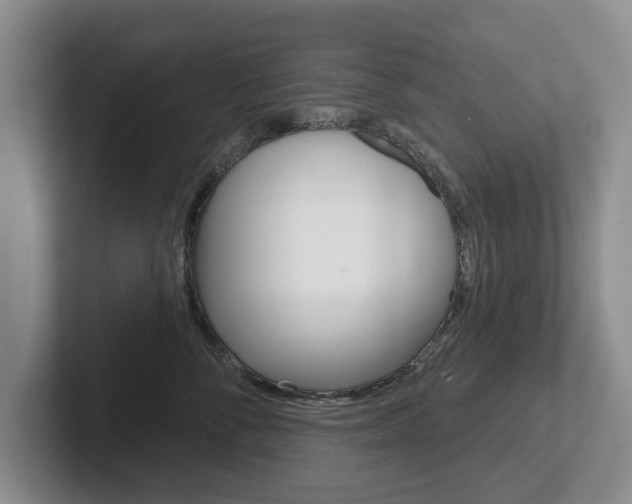X0000102540716200808081050