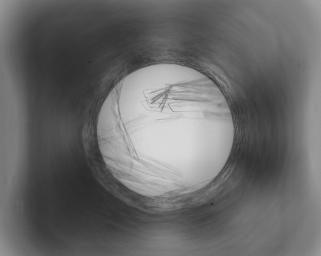 X0000102540717200808081050