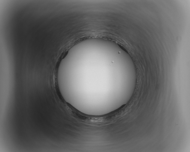 X0000102540720200808081050