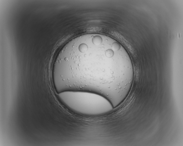 X0000102540721200808081049