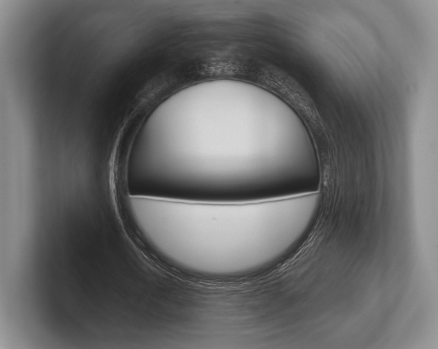 X0000102540722200808081049