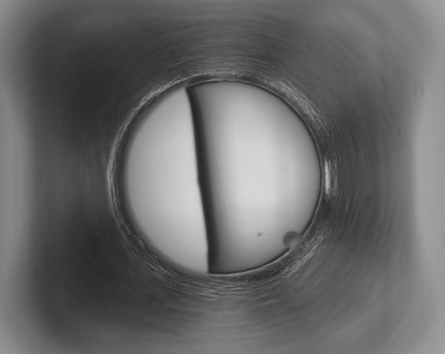X0000102540723200808081049