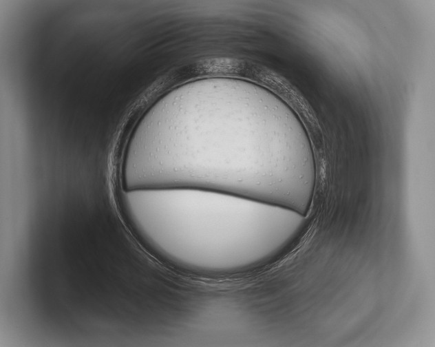 X0000102540725200808081049