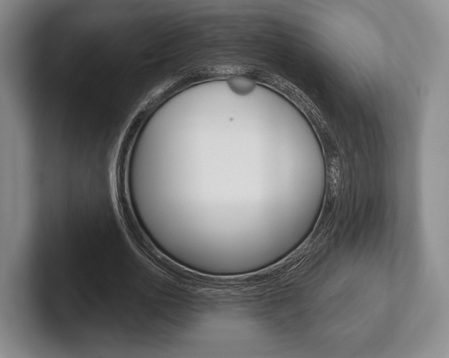 X0000102540726200808081049
