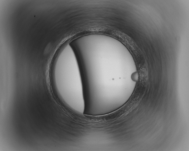 X0000102540727200808081049