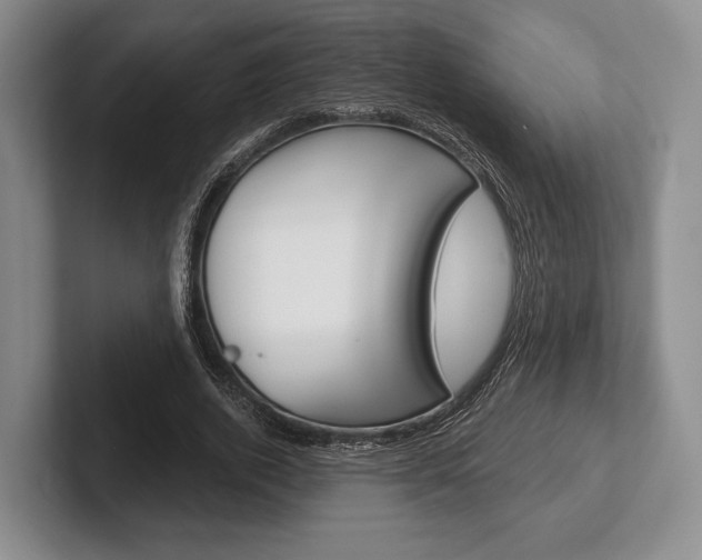 X0000102540728200808081049