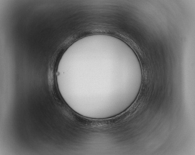 X0000102540729200808081049