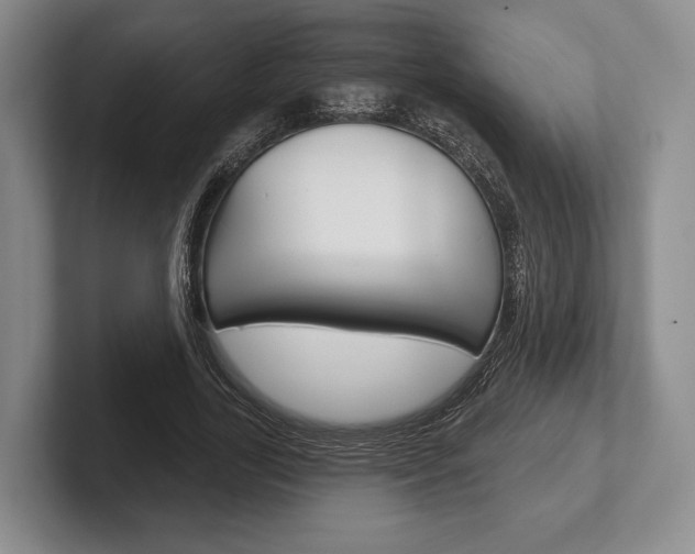X0000102540731200808081049