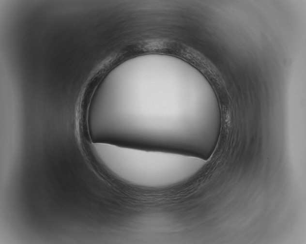 X0000102540732200808081049