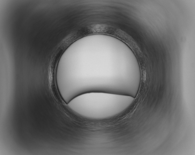 X0000102540733200808081049