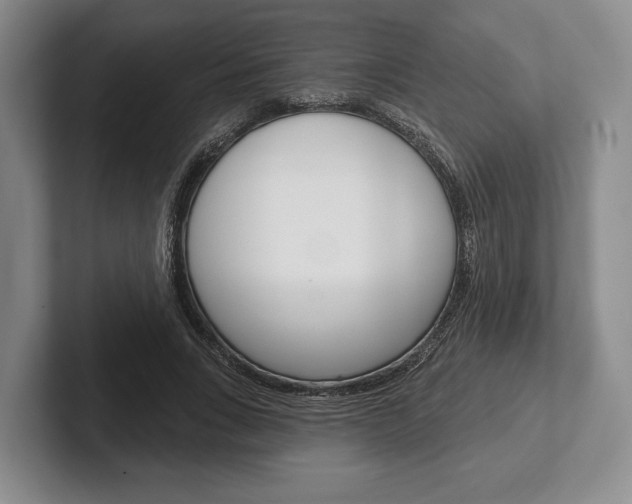 X0000102540735200808081049