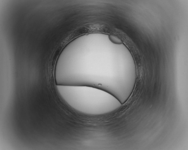 X0000102540737200808081049