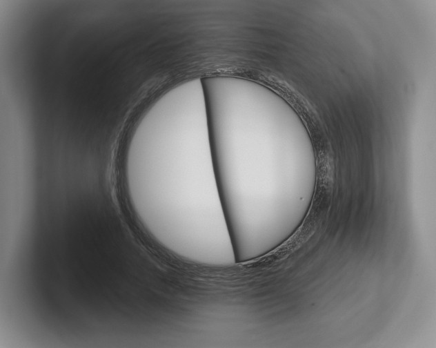 X0000102540738200808081049